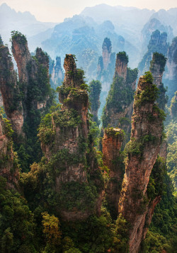 landscapelifescape:  Zhangjiaji, China Pandora from Avatar – Zhangjiajie 