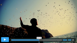 photojojo:  Check out this seriously breathtaking video narrated