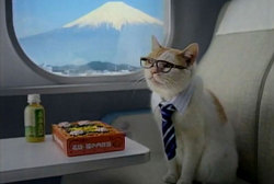 biostar:    Business cat with Tokyo business trips. HA! 