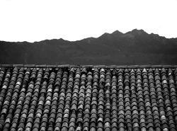 gambafrolla:  Roofs 