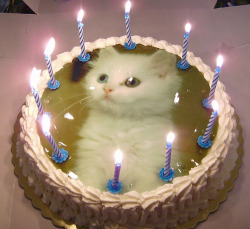 Can my bday cake look like this.-.
