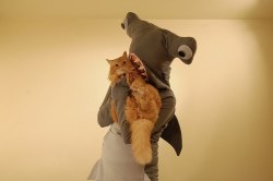 babrahamlincoln:  ianbrooks:  Hammerhead Shark costume Created