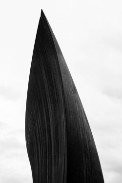 jpegheaven:  Toutes les tailles | Wake, Richard Serra | 