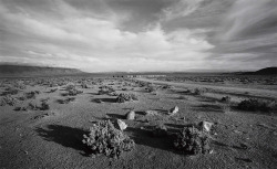 Near Trona, California, 1982 photo by Lawrence McFarland, 1982