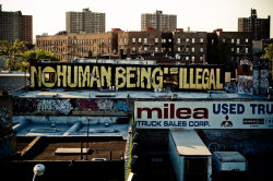 rolkertheeinstestinepoker:  No Human Being Is Illegal 