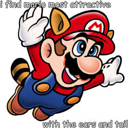 rabbithugs:  the end  i find mario most attractive when hes jumping