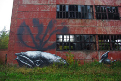 loveyourchaos:  (by ROA !) 