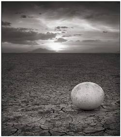 luzfosca:  Nick Brandt Abandoned Ostrich Egg Amboseli 2007 via