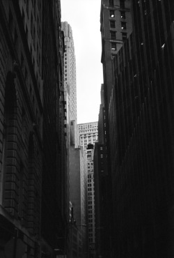 fromme-toyou:  The narrow halls of Wall Street Leica / Tri-x