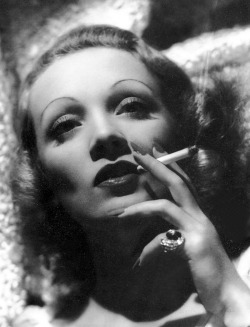 lucynic83:  Marlene Dietrich 