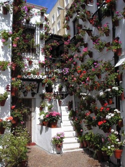 stoptalkingnonsense:  Córdoba in May, Spain.