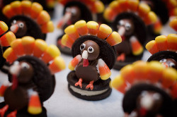 turkeywang:  Fuuu they’re so cute and I don’t even like Turkeys.