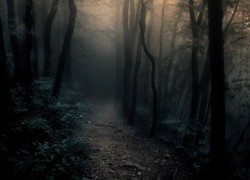 I know a place to disappear.
