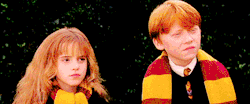 -hermione:  “For goodness sake, Hermione and Ron just need
