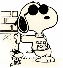 joe cool x O.C.D