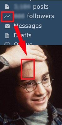yourmindblown:  Harry Potter a Tumblr Follower YMB | Follow 
