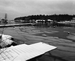 black-and-white:  flake of ice (by Olle) 