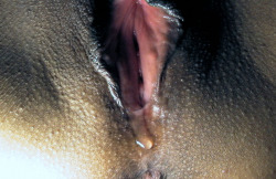 dripping-wet-pussies:  A good drip  This pussy looks about as