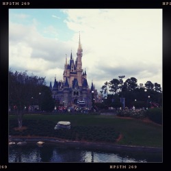 yelyahwilliams: Walt Disney World 2010  It has been a dream since