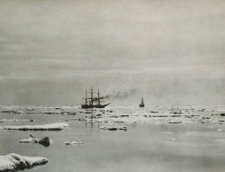 ontheborderland:  Whalers in the Arctic, 1886. Imperial Size