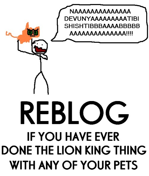 REBLOG and tell us what pet... We have all done this!