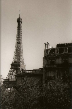 saint-germain:  “La vie, c’est Paris ! Paris, c’est la