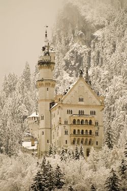 fuckyeahgeography:  Neuschwanstein Castle: Fussen, GermanySource: