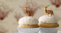 everyday-is-a-holiday:  Coconut cupcakes from Baked (by Cakespy)