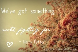 imagequotes:  Quote from HP OotP (movie) Photo found at ???