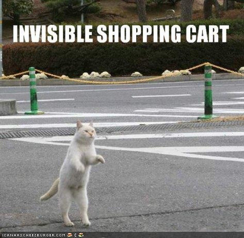 Best of " Invisible" Cat