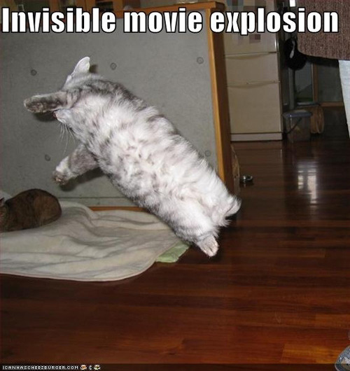 Best of " Invisible" Cat