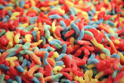 sodomiticum:  GUMMY WORMS  *sour worms  my heaven