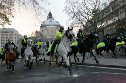  Mounted police ride during a protest in Westminster in central