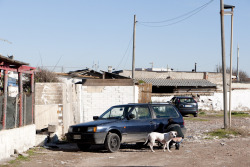 terrysdiary:  Man and Dog in Ostia. 