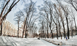 theworldwelivein:  Snowy Arch | St. Petersburg, Russia© Janey
