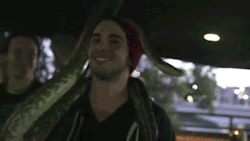 hayleyfromparamore:istillloveparamore:  the best gif in existence