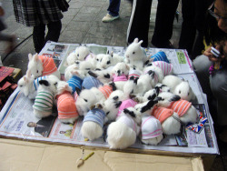  BUNNIES IN SWEATERS BUNNIES IN SWEATERS BUNNIES IN SWEATERS