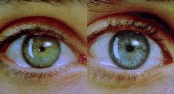 metalhearted:  FACT : your pupils dilate when you see the person