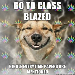 Lmao. Always blazed in class. Best time was when Mr. Roddy said