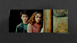 ale-la-pazza1:  Harry: Good punch.Hermione: Thanks.(Harry Potter