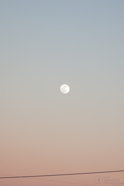 The moon looked so lovely against the muted sunset I just had