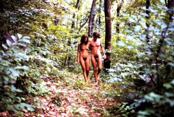 naturalnudity:  A walk in the woods - dressed for the best nature experience 