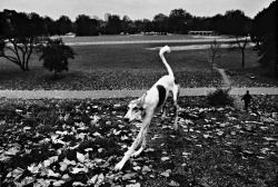 England, 1976  photo by Josef Koudelka