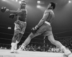 adambabel:  [Culture] Muhammad Ali Vs George Foreman, 30/10/1974