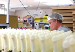 Just another day at the dildo factory.Jobs that you forget actually