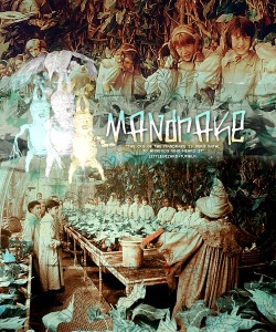 littlewizard:   “The cry of the Mandrake is very fatal to