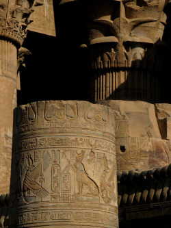 hadrian6:  aboutegypt:  kom ombo (by benoît)  hadrian6: 