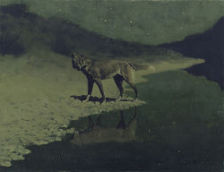 greenlamp:  Wolf on Moonlight, c.1909 Frederic Remington 