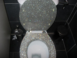 jaykardash:  so i can be fabulous while i take a shit.