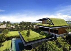 Roof Garden House  Designed by Guz Architects, the Meera House